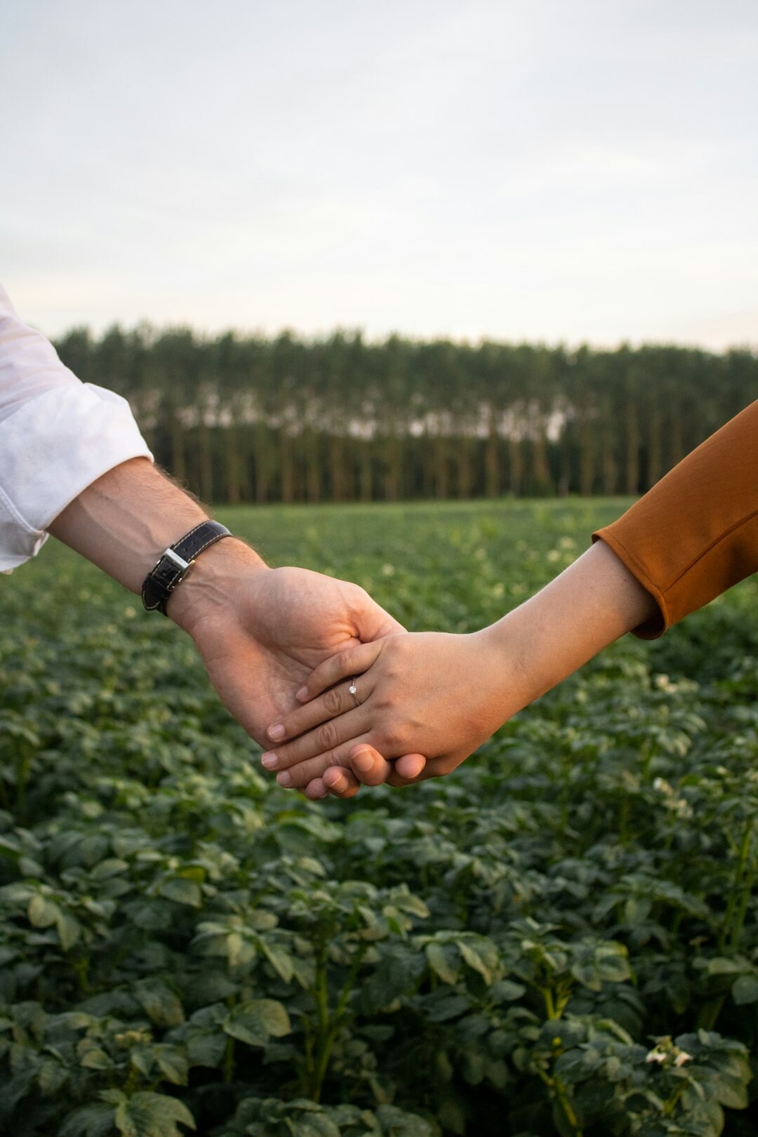 Two Danish business professionals shaking hands after a meeting in a modern office